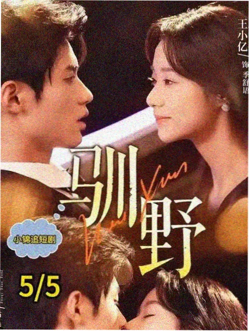 问苍茫